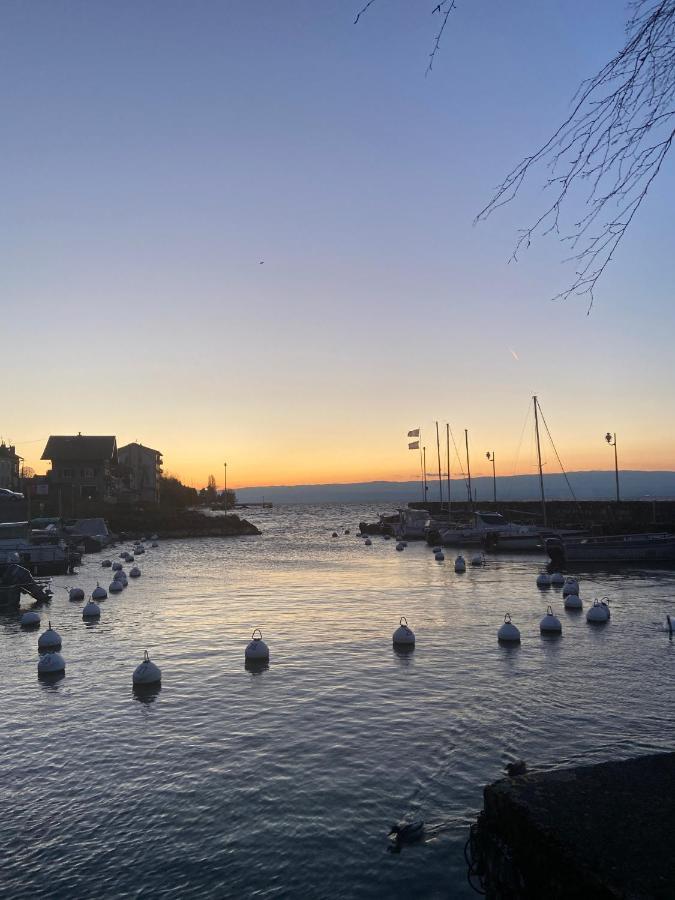 Bord De Lac,2 Chambres Superbe Vue Lac 5Mn Evian Лугрин Экстерьер фото